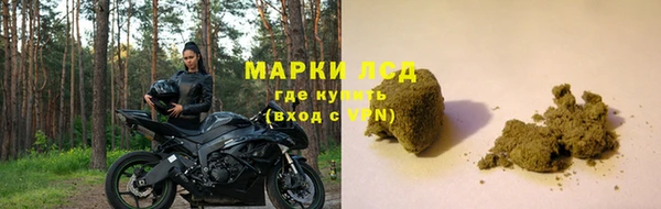 стафф Алексин