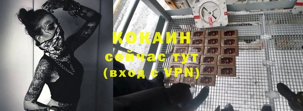 стафф Алексин