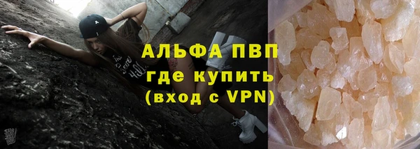 стафф Алексин