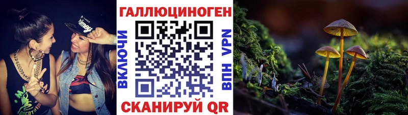 как найти наркотики  Новоуральск  Псилоцибиновые грибы MAGIC MUSHROOMS 